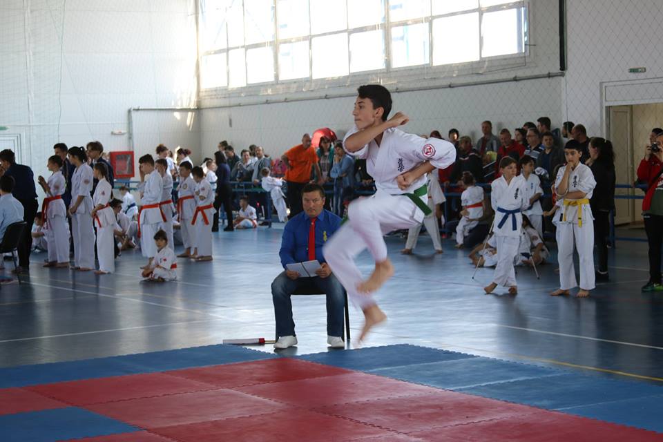 Image 11