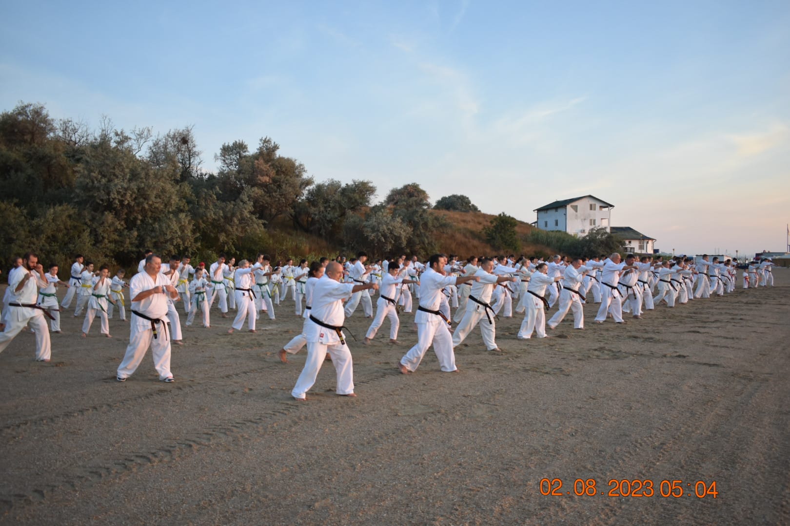 Image 10