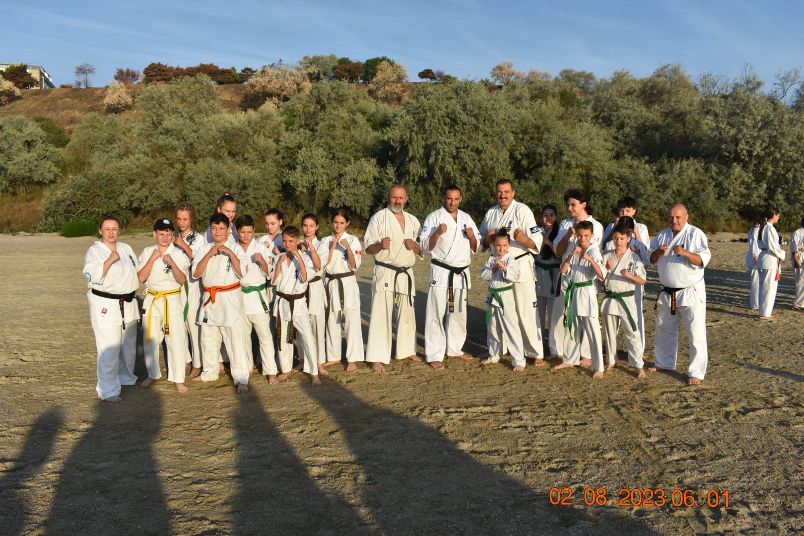 Image 12