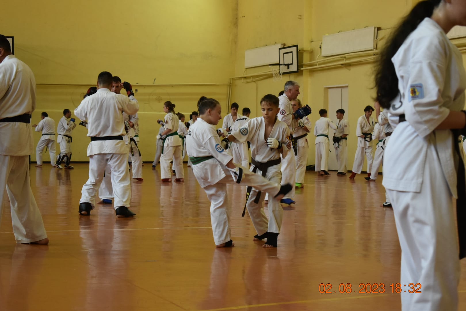 Image 13